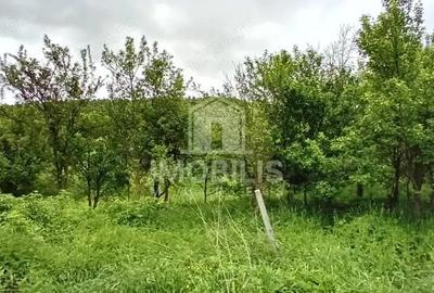 Teren intravilan | Budiu Mic | 994 mp - 3