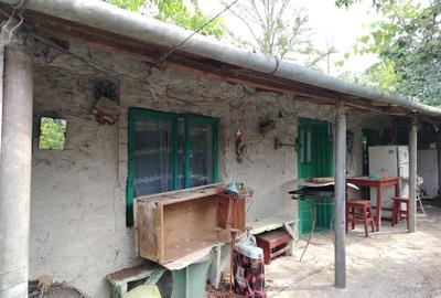 Vind casă în com Ulmu jud Călărași str cimitirului nr 12 - 3