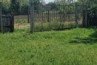 Spațiu comercial, în Ileana - 3