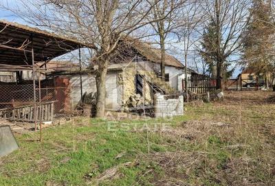 Casa individuala cu 3 camere ,teren 4222 mp in exclusivitate Dorobanti - 7