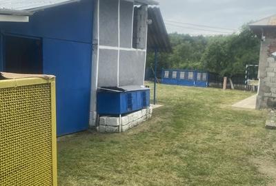 Casă cu 3 camere în Săpata - 3