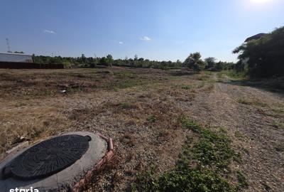 Teren de 3050 mp, în 1 Decembrie - 13