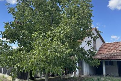 Casă cu 2 camere în Cheresig - 2