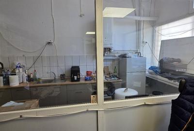 Spațiu industrial, de 240 mp, în Theodor Pallady - 7