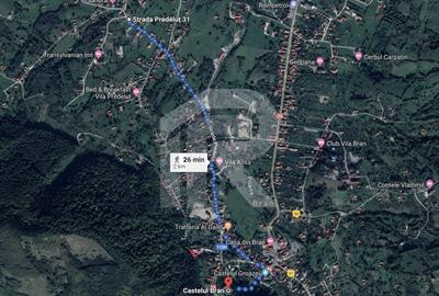 Teren investitie Bran - Predelut, la 2 km de Castelul Bran - 4