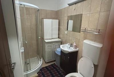 Apartament 1 camera decomandat zona Cetatii - 8