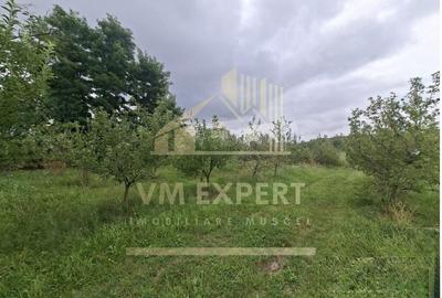 TEREN 20.621 MP CAMPULUNG - 11