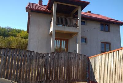 Casă cu 5 camere cu Teren 3500 Mp în Central - 5