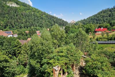 Pensiune în mijlocul naturii Bran - 2