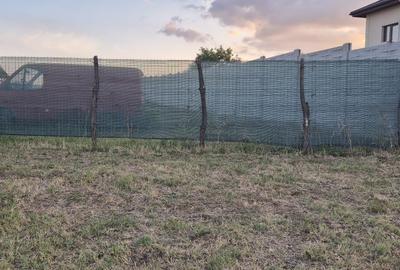 Teren cu vedere la Dunăre în Șimian - 5