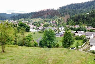 Teren 6,865mp Voronet / Gura Humorului / Bucovina - 4