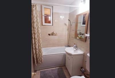 Dristor Baba Novac Parc Lake apartament 2 camere - 3