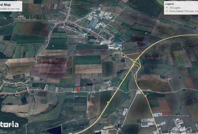 Teren de 3700 mp, în Șura Mică - 1