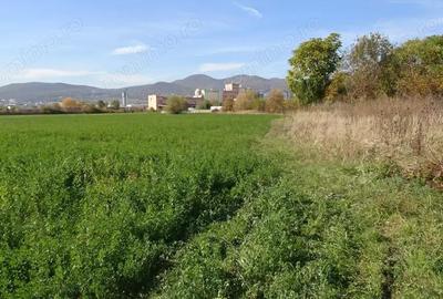 Teren de 43000 mp, în Central - 7