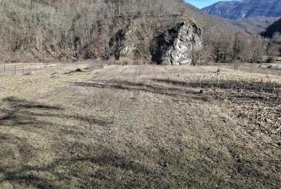 Teren de 2800 mp, în Călinești - 5