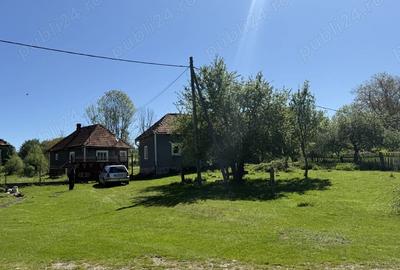 Vind casa in Tomnatic - 5