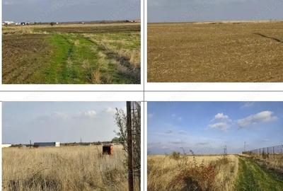 Teren Loc. Pielesti, Jud Dolj - 3