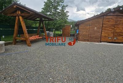 Casă cu 1 camere cu Teren 1335 Mp în Ighiu - 15