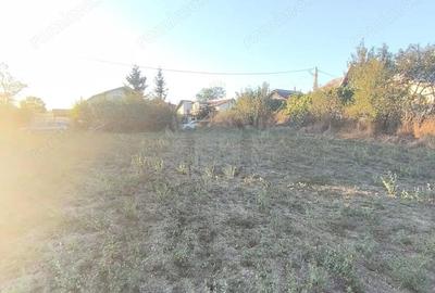 Teren de 3017 mp, în Plopu - 8