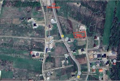 Teren de 900 mp, în Săldăbagiu de Munte - 2