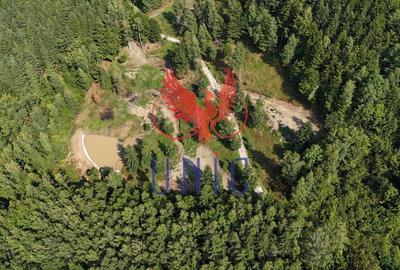 18000 mp de natura pura ,Lupeni, langa Straja 18000 mp de natura pura ,Lupeni, langa Straja - 24