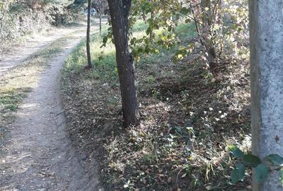 Teren de 960 mp, în Geoagiu-Băi - 2