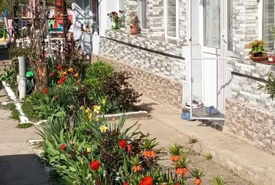 Casă cu 3 camere în Uzunu - 5