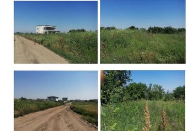 Teren agricol intravilan de 1510 mp, în Berceni