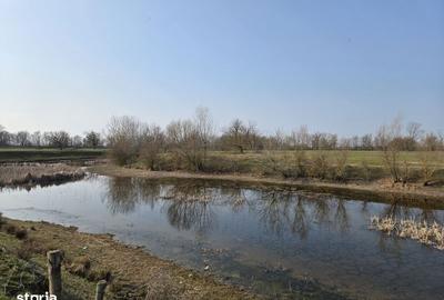 Teren de 30600 mp, în Sacoșu Turcesc