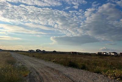 RECO Teren intravilan cu  PUZ aprobat Cihei-fundatia Nesu RECO Teren intravilan cu  PUZ aprobat Cihei-fundatia Nesu - 5