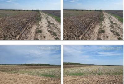 Teren extgravilan agricol Uliesti, ID: R2263433 - 2