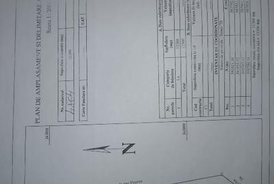 Teren agricol extravilan de 11356 mp, în Central - 2