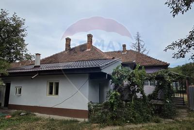 Casa si teren de 1195mp in Tinca - 4