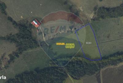 Teren de 10000 mp, în Dumbrăvița - 7