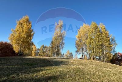 Oportunitate de investiție ! Teren de vis în Pestera - 125.370 mp - 15