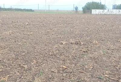 Teren de 5000 mp, în Herăști - 3