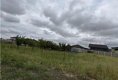Teren intravilan de 673 mp, în Moșnița Veche - 3