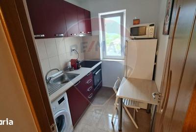 Apartament cu 2 camere decomandat, mobilat în Sud - 5