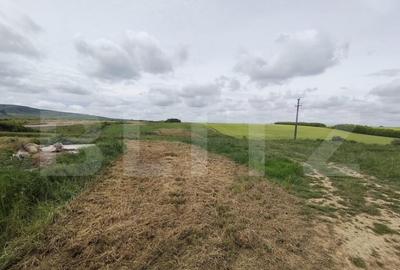 Teren intravilan in Cheriu foarte aproape de inelul metropol - 7