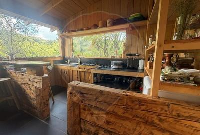 Casă cu 14 camere cu Teren 62330 Mp în Horea - 20