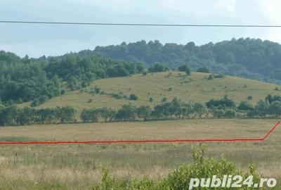 Teren de 10000 mp, în Râșnov - 3