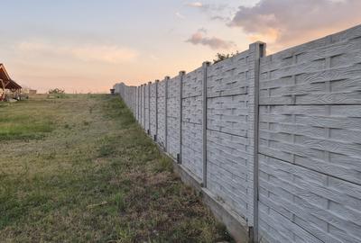Teren cu vedere la Dunăre în Șimian - 7
