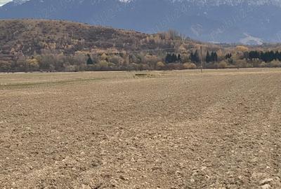 Teren de 7884 mp, în Central - 7