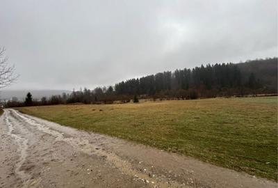 Teren de 4150 mp, în Beba Veche - 3