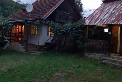 Cabana zona de deal în Apuseni - 1