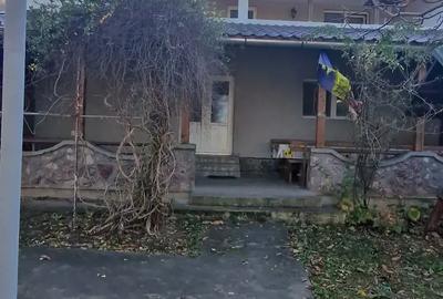 Cabana de vanzare, dealul viilor, Ineu - 1