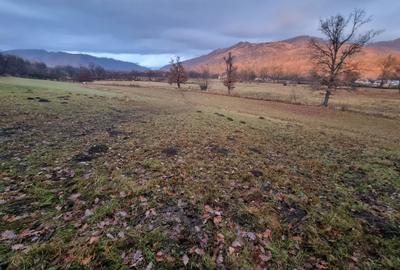 Spațiu comercial, în Bistra Mureșului - 1