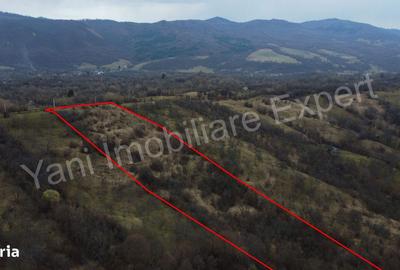 Teren de 14328 mp, în Nucșoara