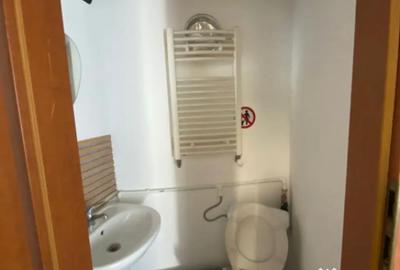 Spațiu comercial, de 220 mp, în Malu Mare - 8