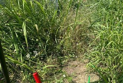 Vanzare teren localitatea Magurele - 4